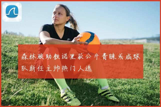 森林狼助教诺里获公牛青睐或成球队新任主帅热门人选